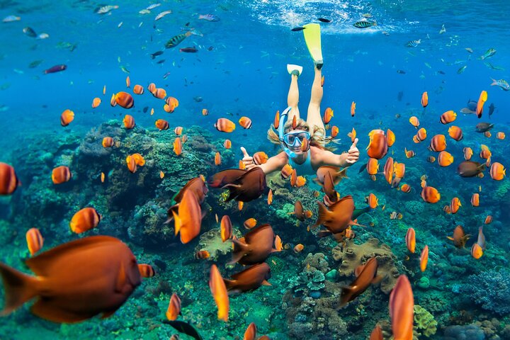 Guided Snorkeling Adventure