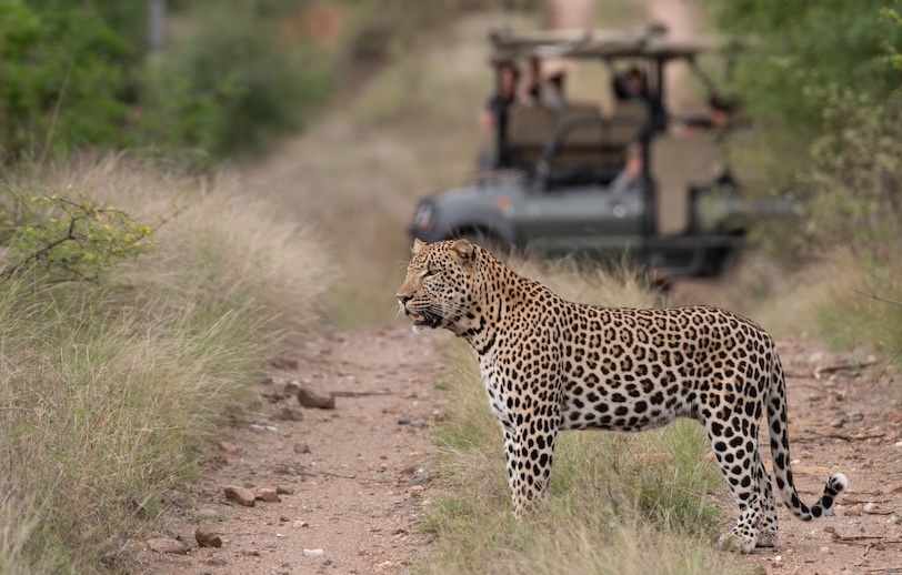 Wildlife Photography Workshop