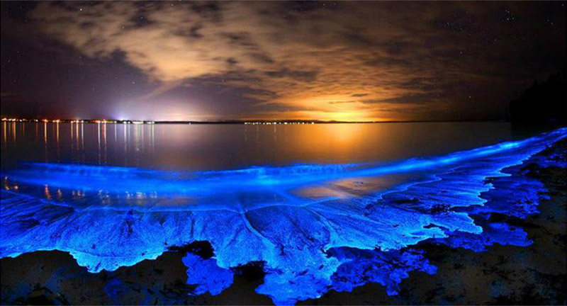 Kayaking in Bioluminescent Bay