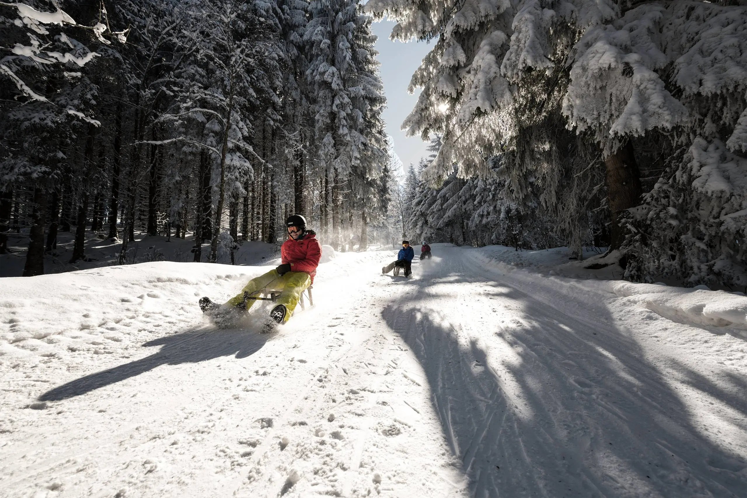 Tobogganing Adventure