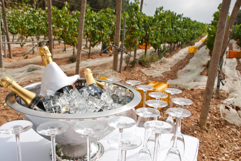 Maltese Wine Tasting