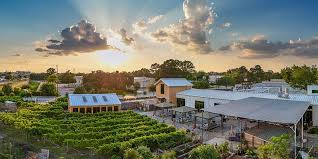 Wine Tasting at Nice Winery