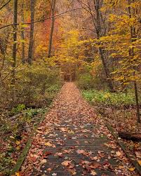 Cape Cod National Seashore Hike