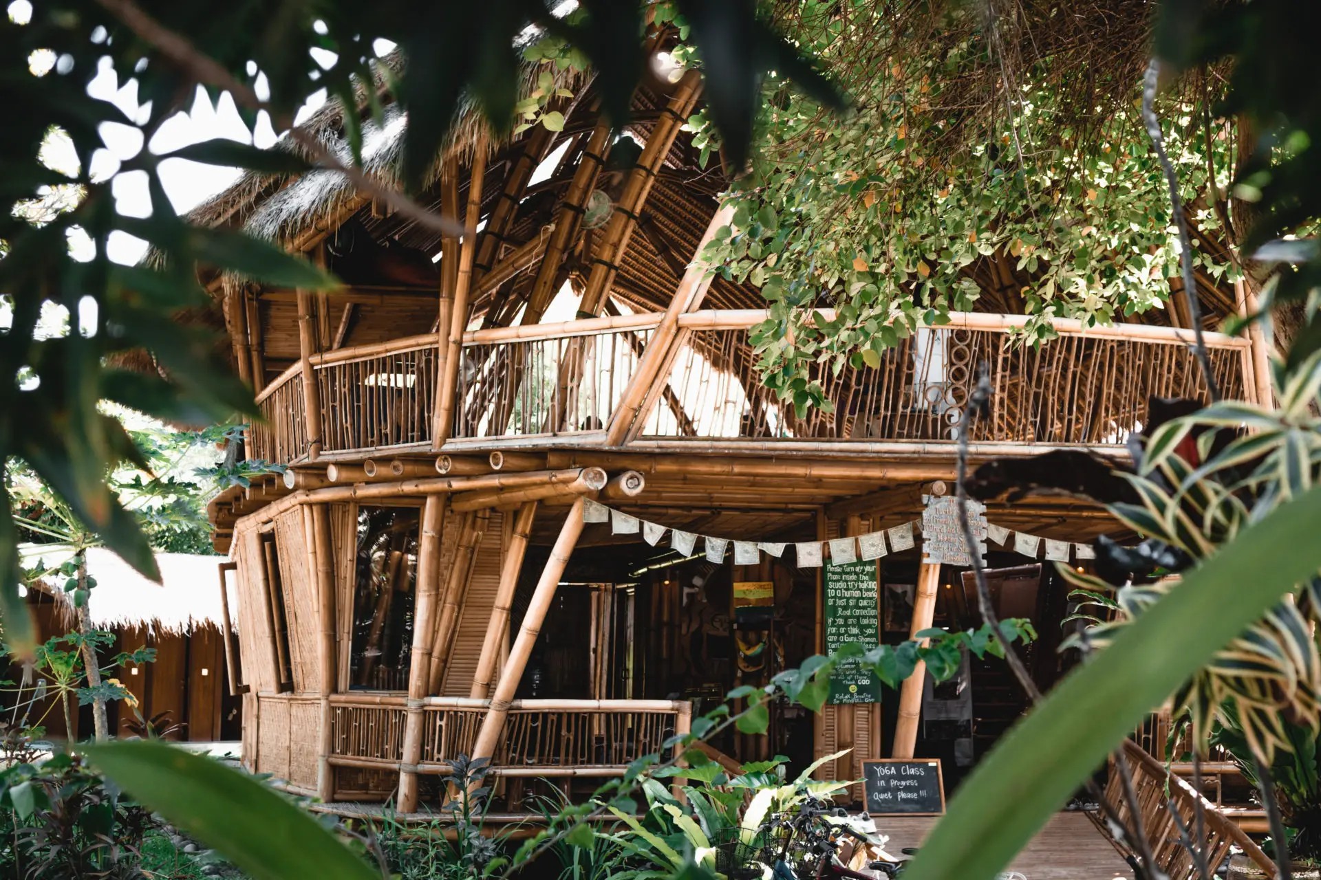Beach Yoga & Meditation