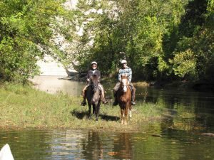 Horseback Riding at Patapsco Valley