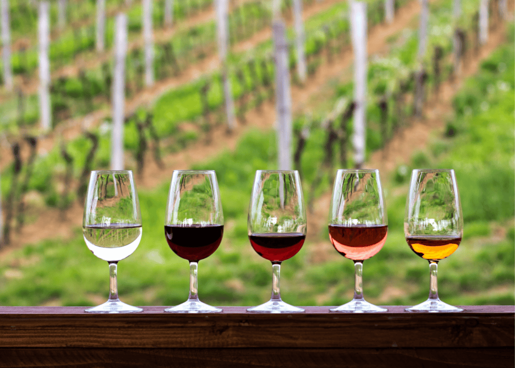 Private Wine Tasting in Texas Hill Country